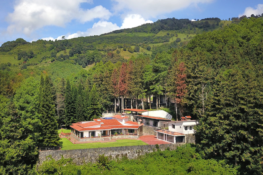 Narconon-Puebla
